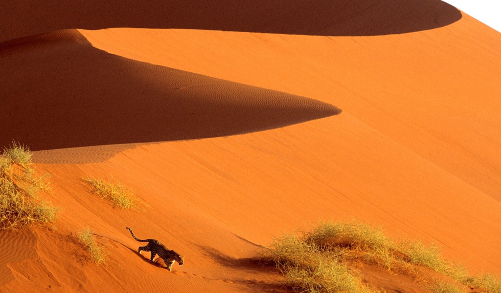Пересечение Дюн Парка Sossusvlei / Намибия / Африка