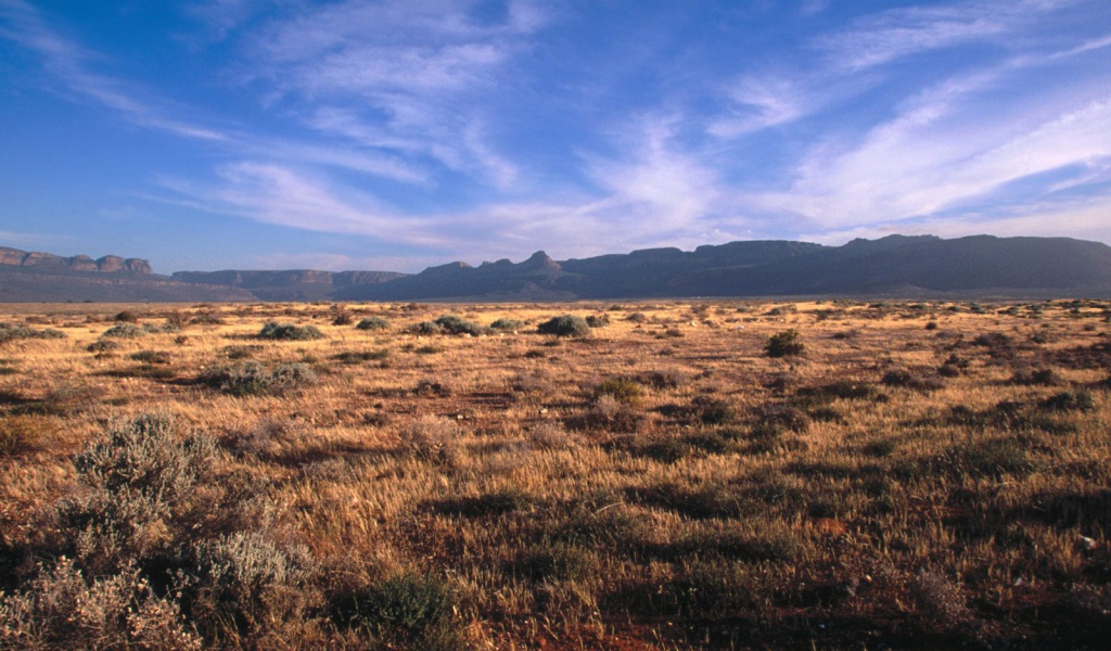 Karoo - Кару / Африка