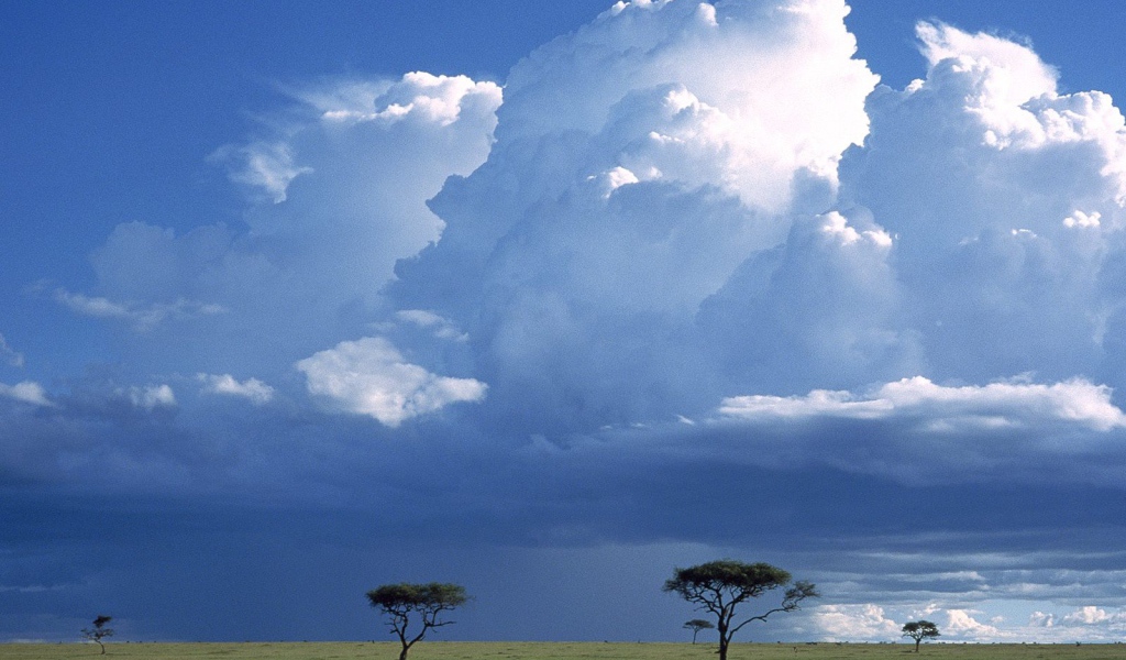 Шторм по Саванне / Masai Mara Резервация / Кения / Африка