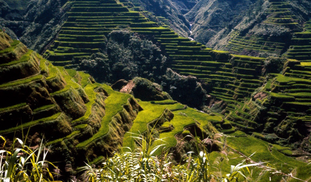 Древние Террасы Риса / Филиппины