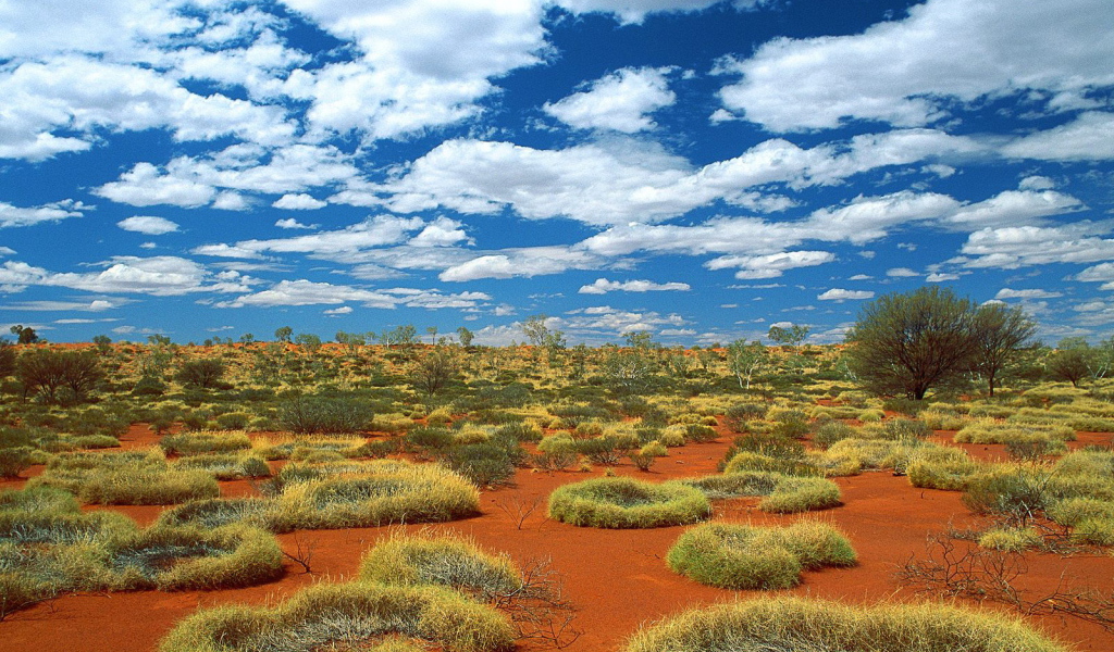 Природа Австралии