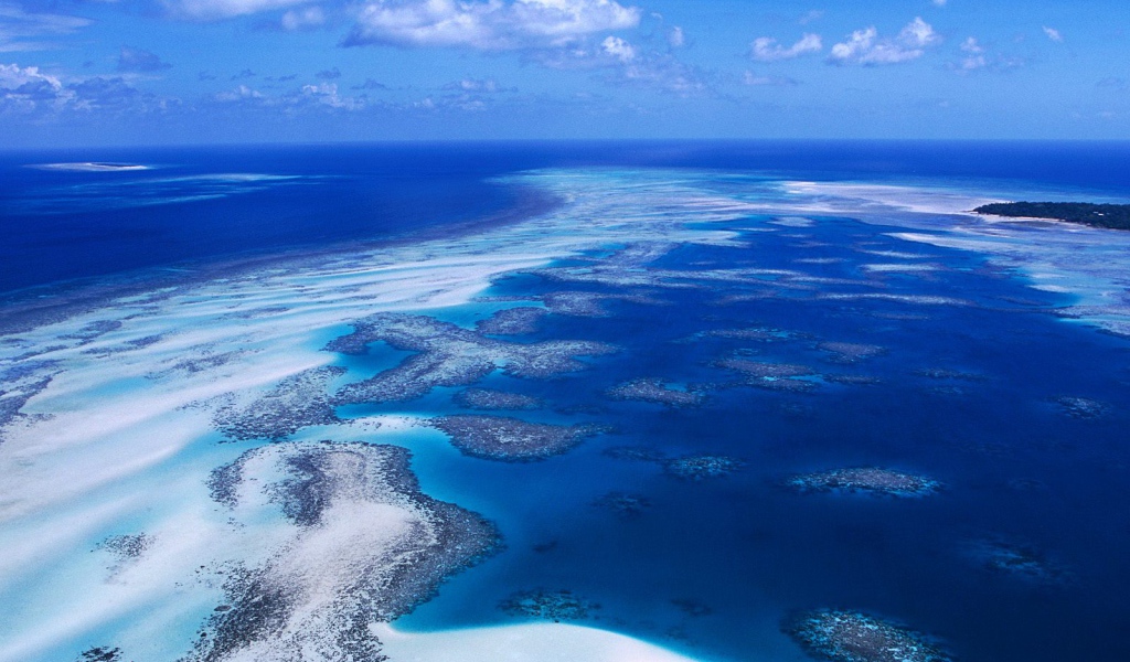 Коралловый риф / Острова Пролива Торреса / Австралия