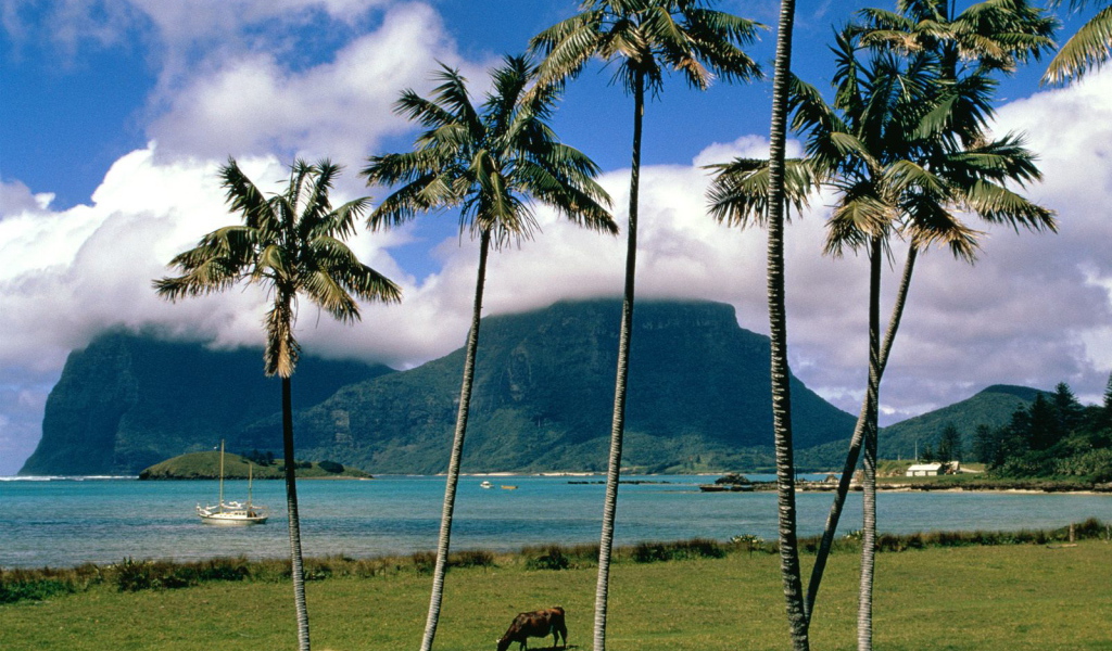 Остров Lord Howe