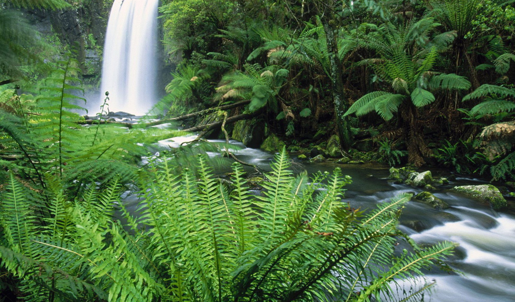 Водопад - Австралия