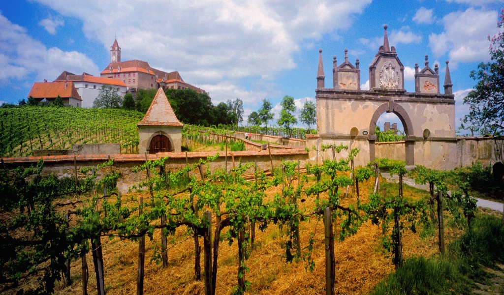 Австрийский Виноградник