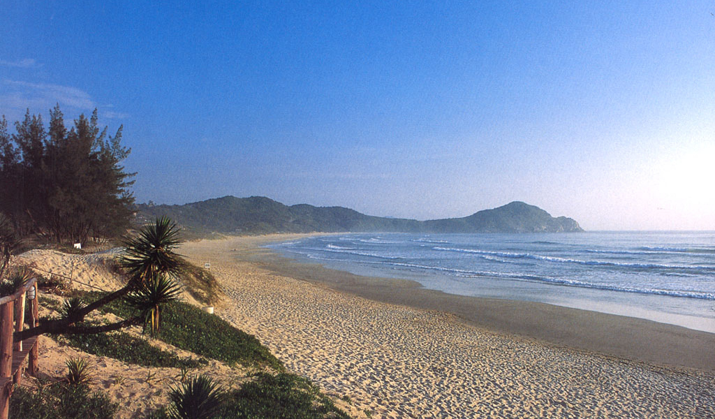 Пляж Бразилии