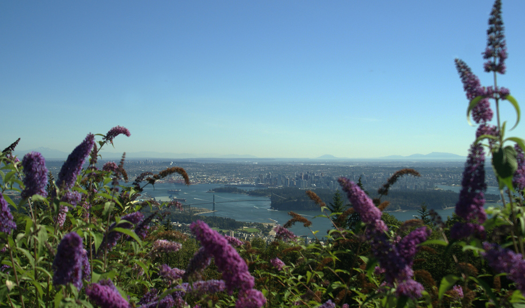 Цветочный Ванкувер