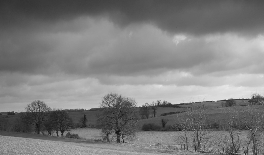 Grey country