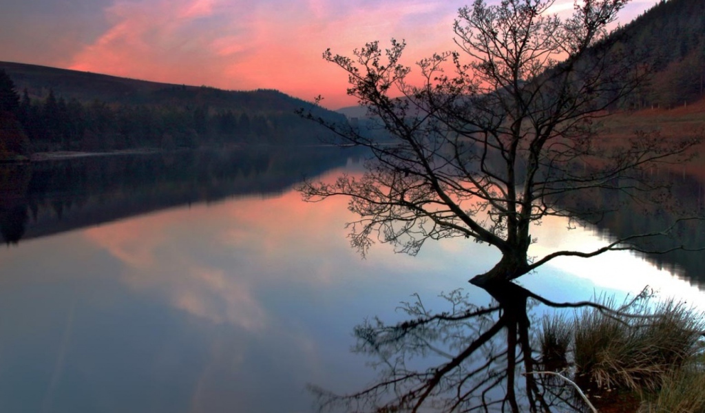 Озеро Ladybower