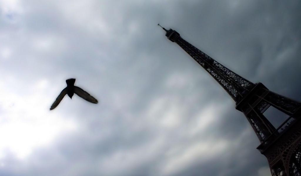 Различная точка обзора