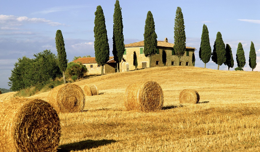 Поля Италии