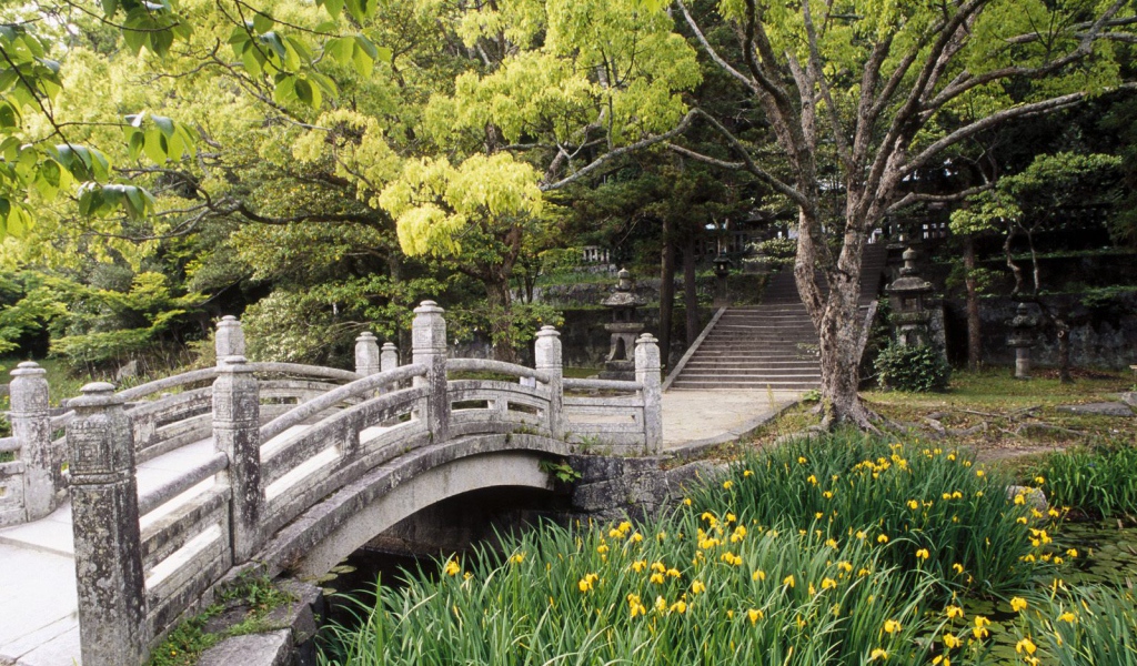 Сад Замка Hagi, Западный Хонсю