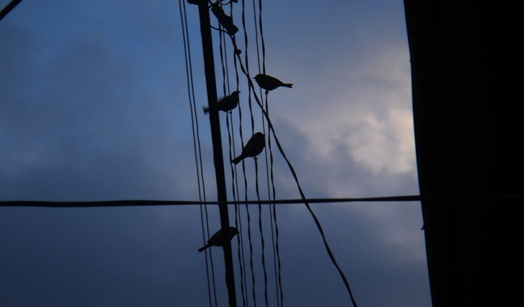 Ночное море