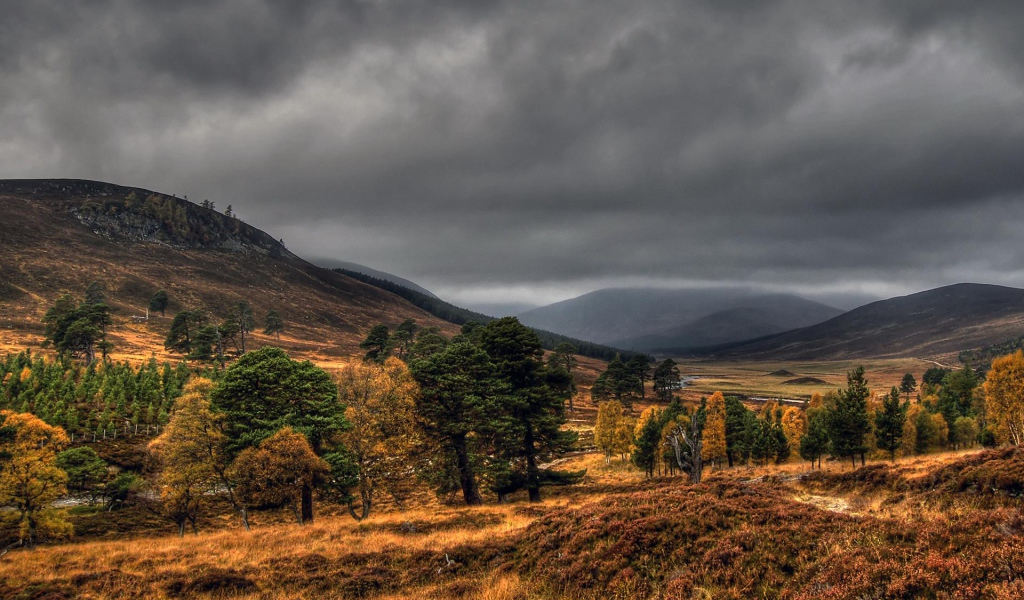 Дымчатые топазы Шотландии