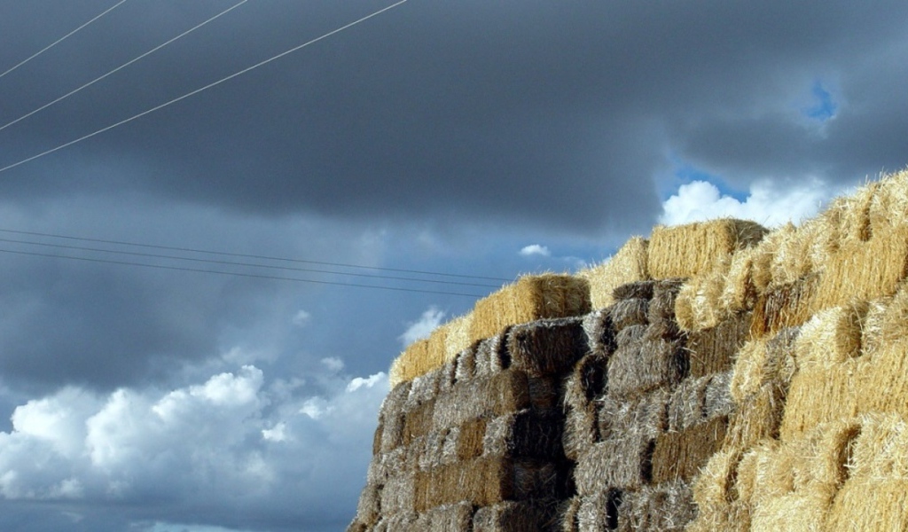 Avila Испания