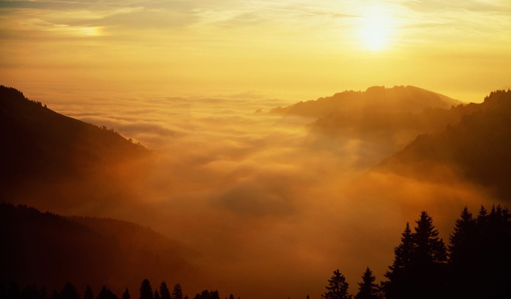 Святой Голлен, Швейцария