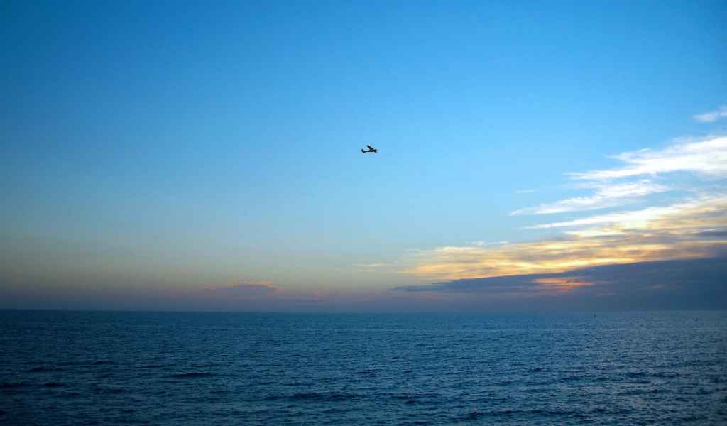 Один в небе США