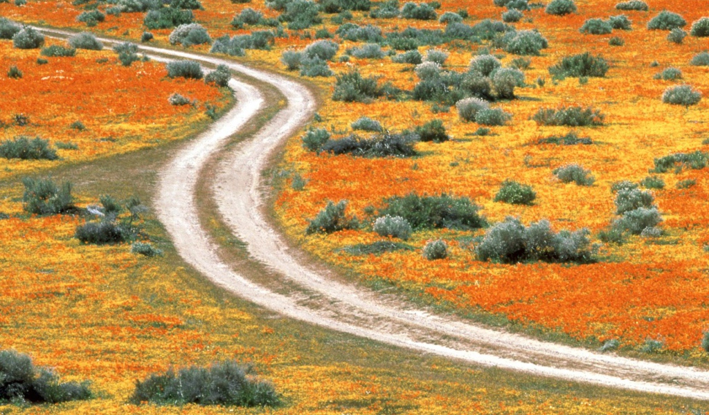 Долина антилопы США