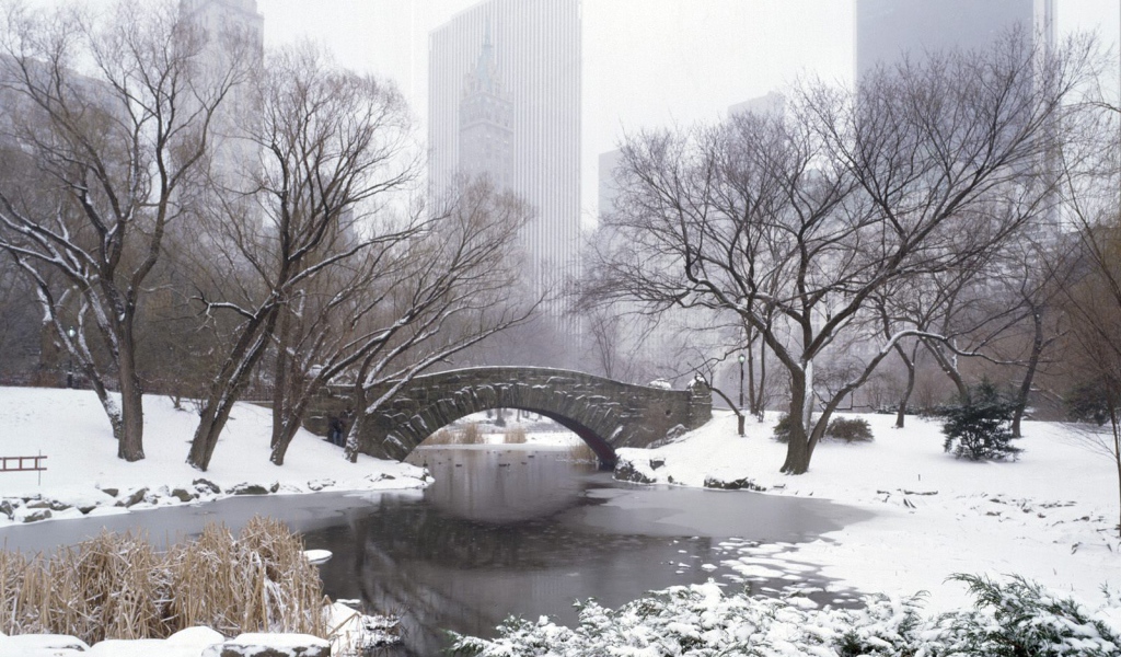 Центральный Парк НЬЮ-ЙОРК США