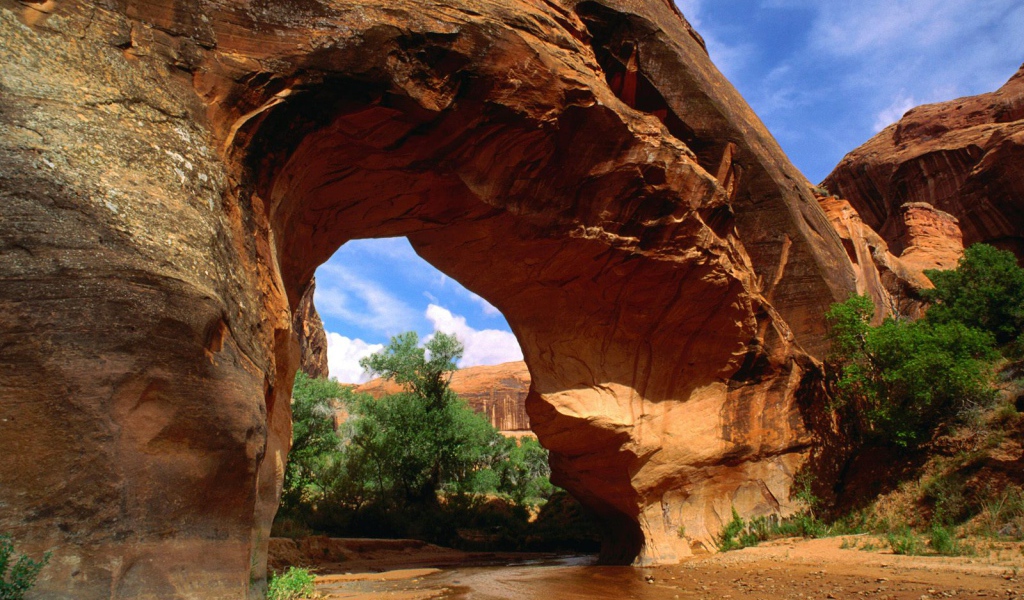 Американский волк Естественный Мост США