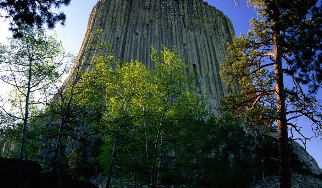 Башня Дьявола США