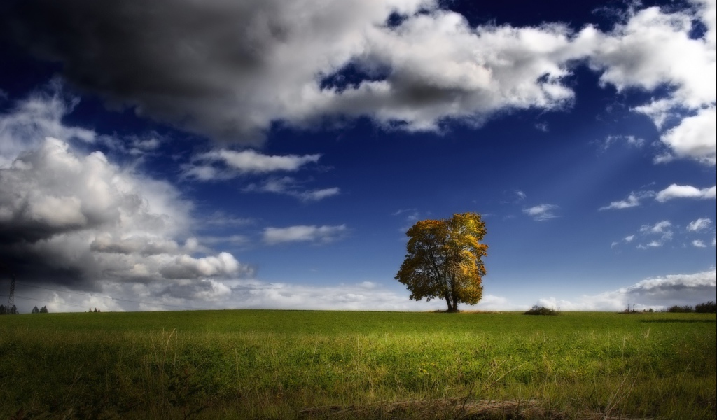 Возвышение США