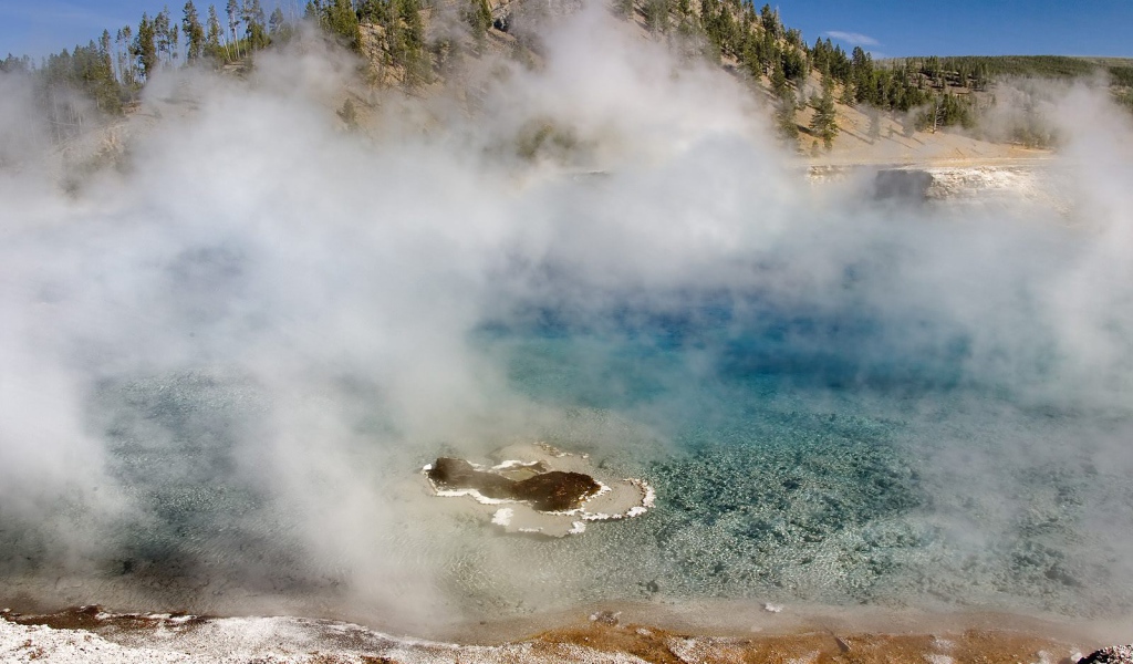 Гейзер Мягкой древесной стружки США
