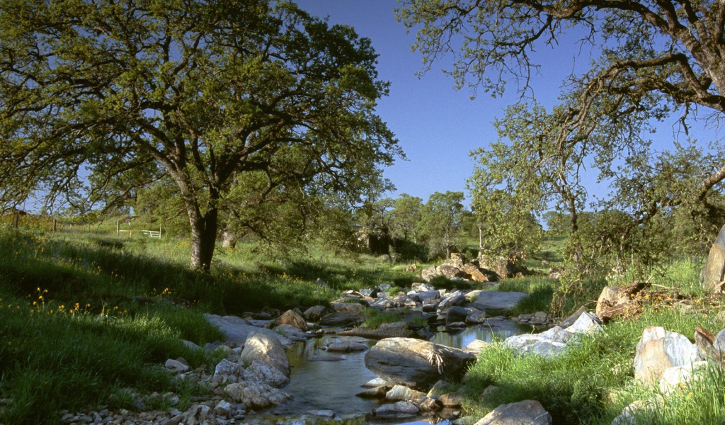 Золотая Страна / Калифорния / США