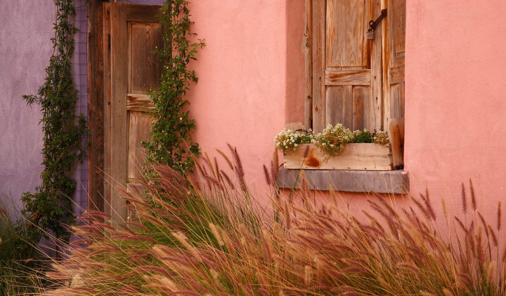 Исторический Дом / Тусон / Аризона / США