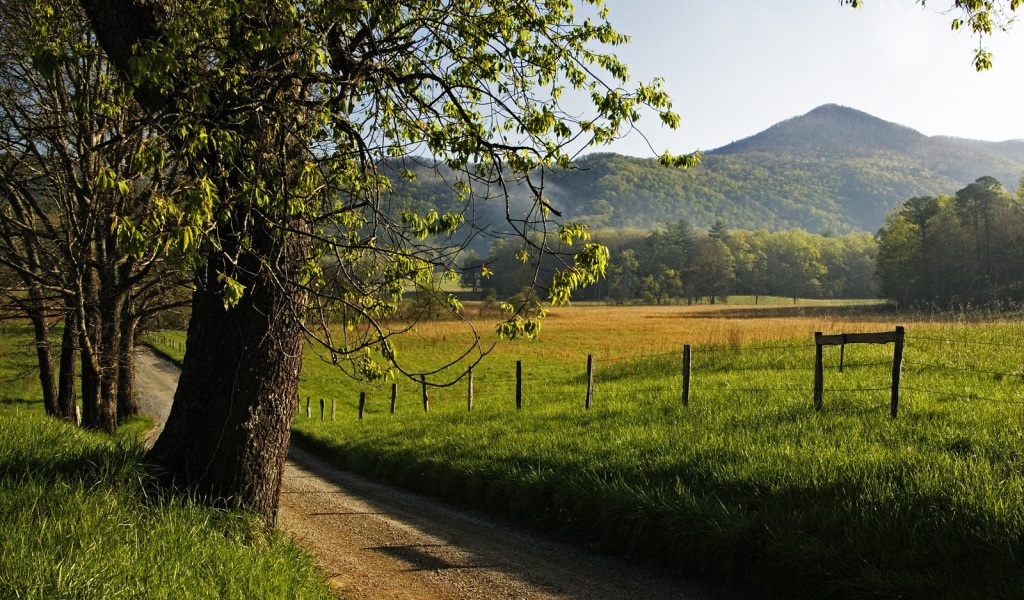 Переулок Hyatt, США