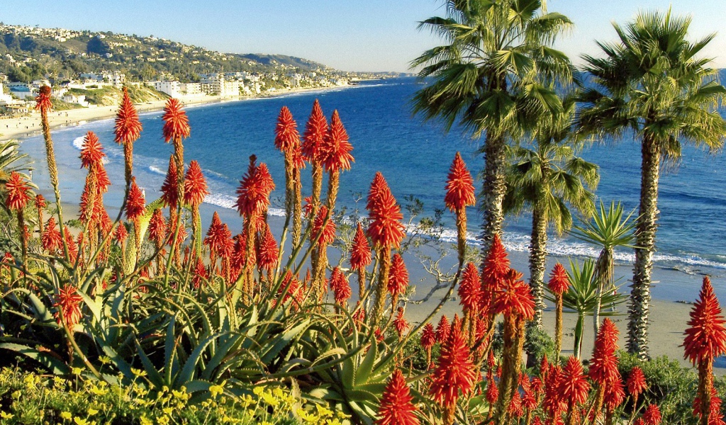 Лагуна Бич / Калифорния / США