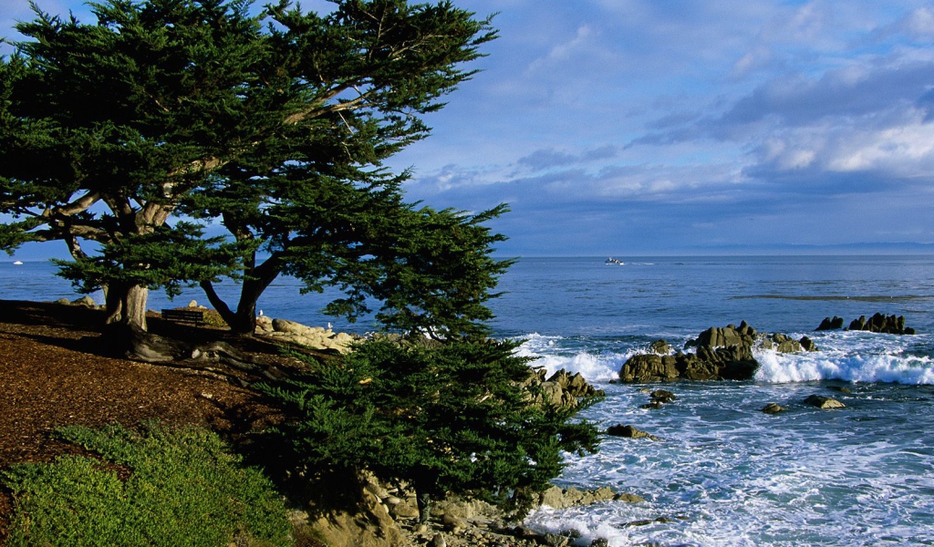 Тихоокеанская Береговая линия / Калифорния / США