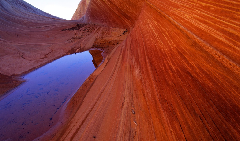 Волны Песчаника  / Ярко-красные Утесы / Аризона / США