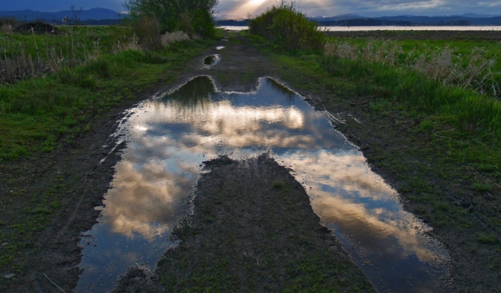 Лужа Неба, США