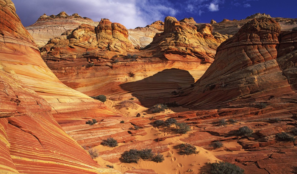 Гладкое Формирование скалы / Каньон Paria / Аризона / США