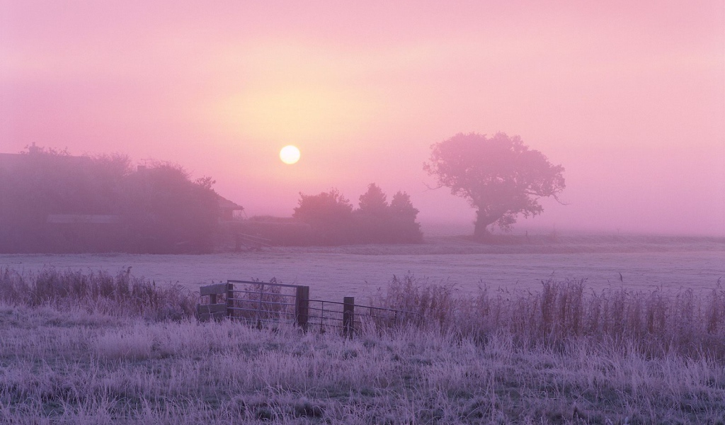 Сельхозугодья