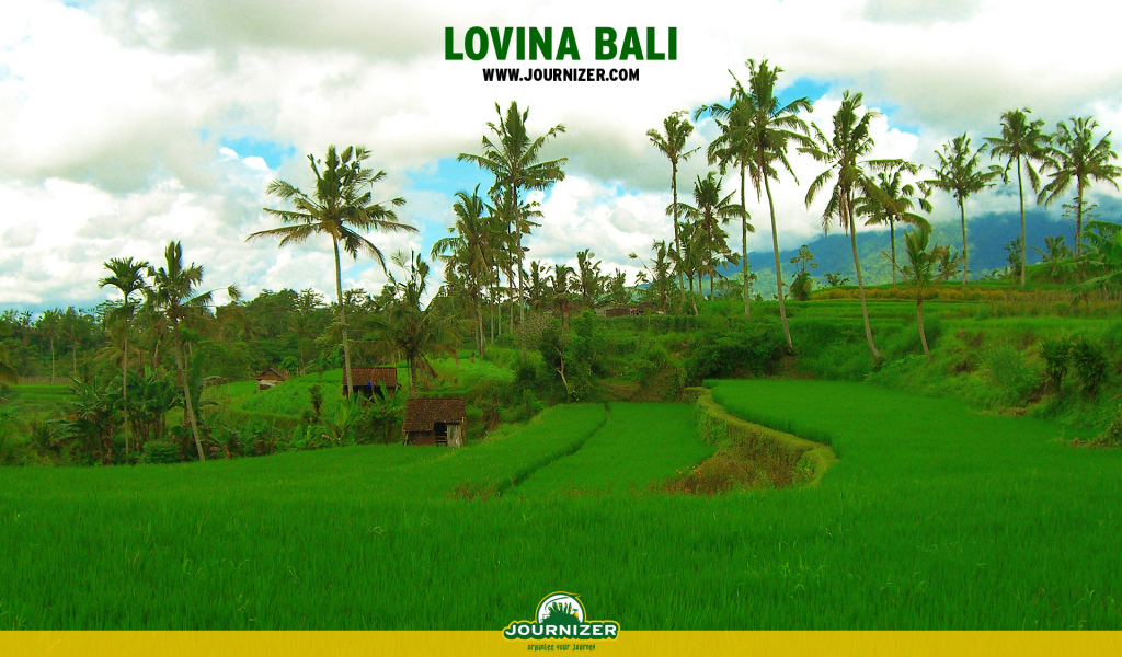 Lovina Бали