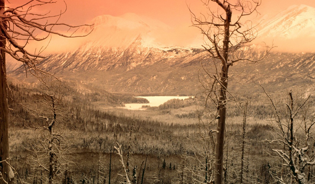 Охваченный зимой