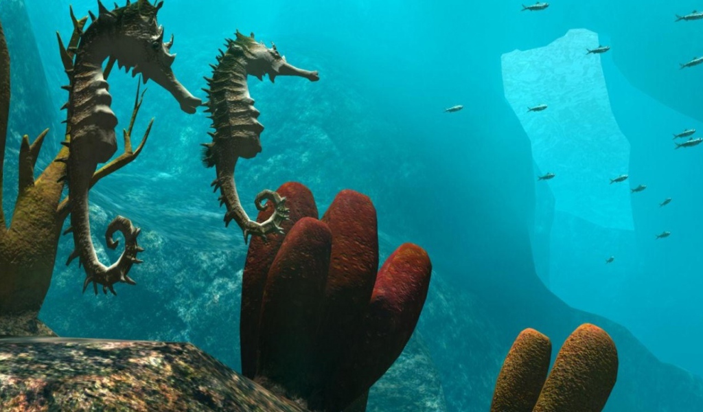 Морские обитатели