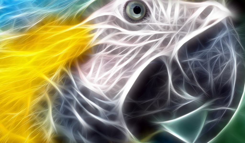 Разноцветный попугай