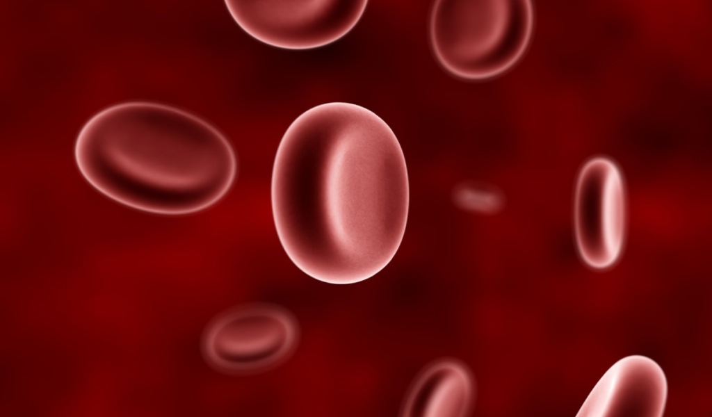 Эритроциты