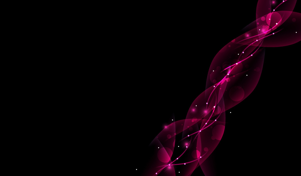 Розовые цветы