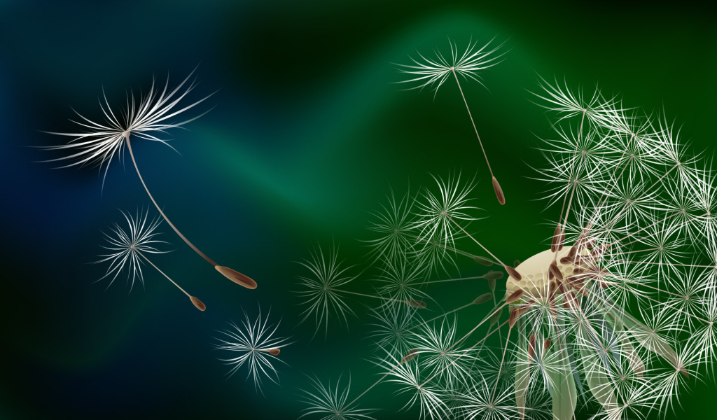 Семена одуванчика