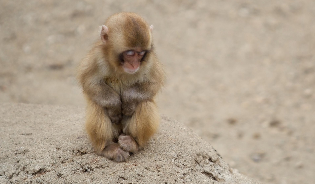 Холодная пора