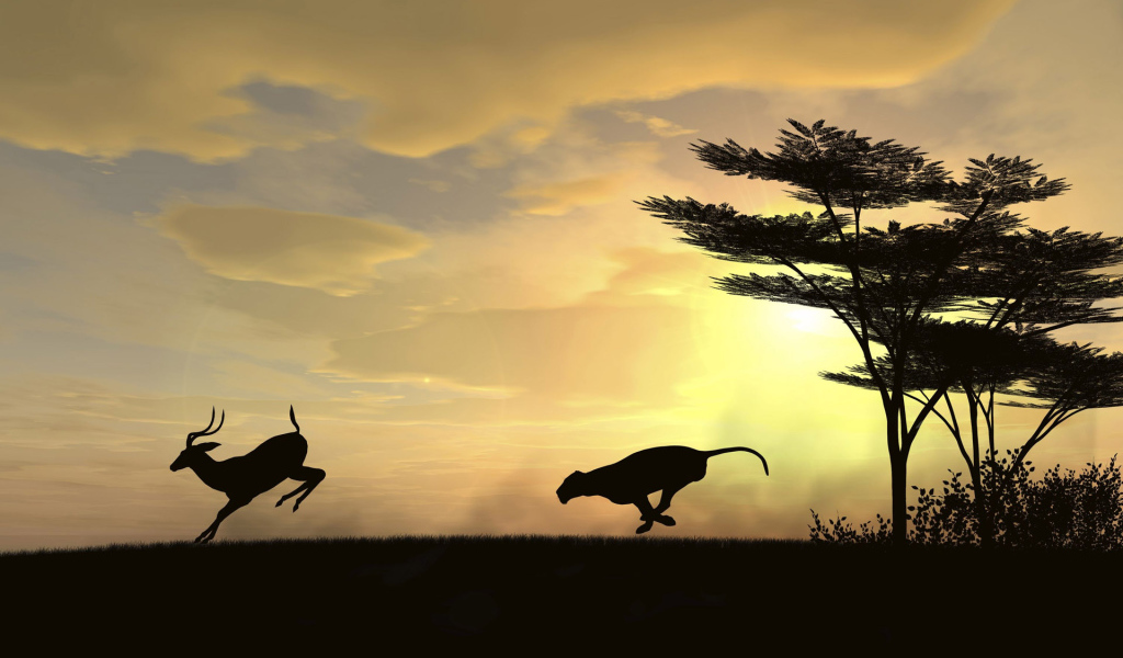 Охотник и жертва