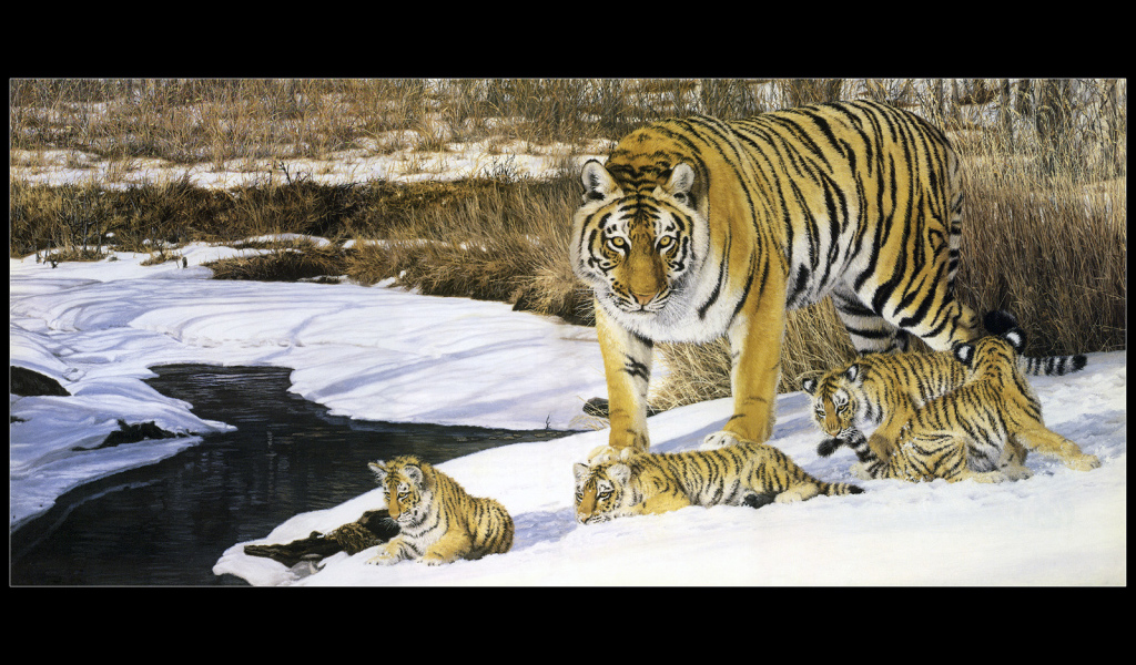 Полосатые тигры