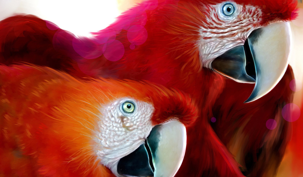 Красные попугаи