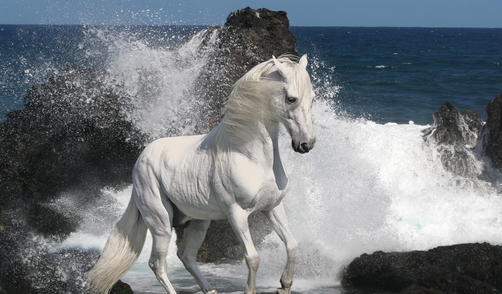 Белый мустанг