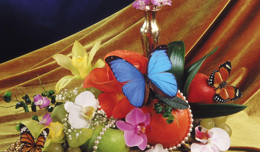 Прекрасная синяя бабочка