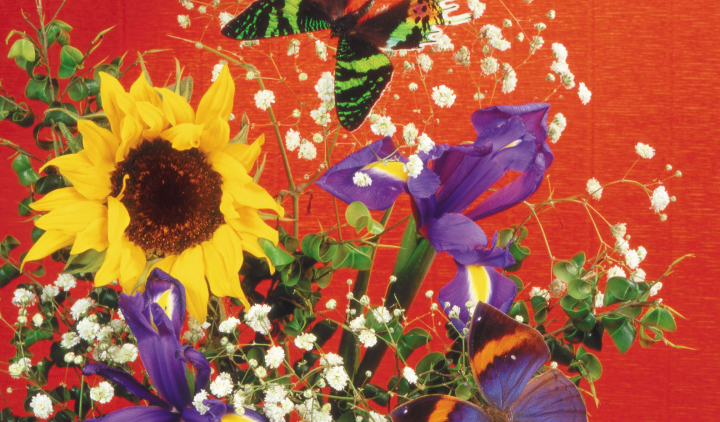 Бабочка и букет